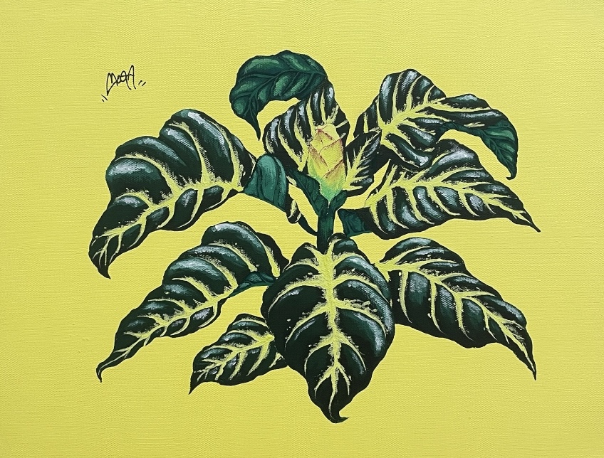 M.O.G.A 植物画作品